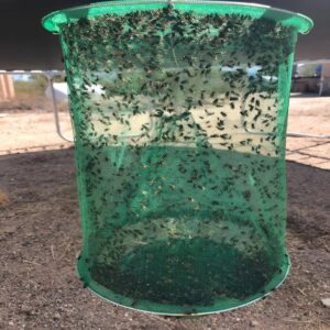 Reusable Fly Trap