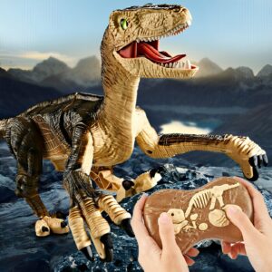 Remote Control Dinosaur Toys