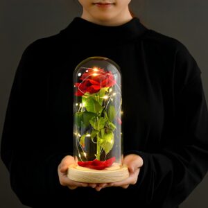 Forever Rose in Glass Dome