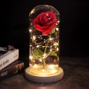 Forever Rose in Glass Dome