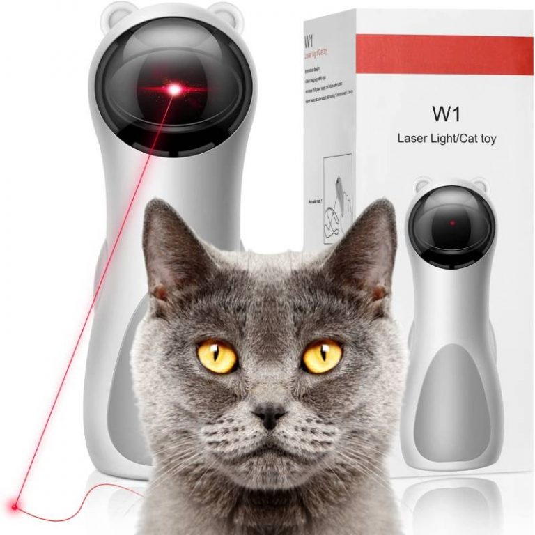 Automatic cat laser toy interactive with laser pointer