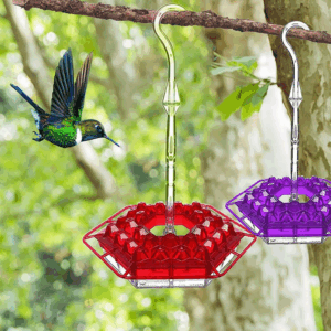 Mary’s Hummingbird Feeder With Perch And Built-in Ant Moat