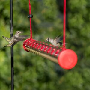 Hummingbird Feeder Tube | Hummingbird Feeding Tubes