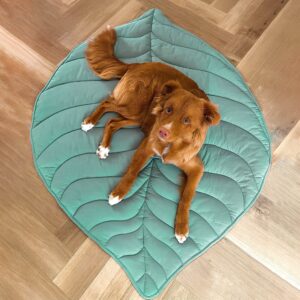Leaf Shape Dog Blanket | Leaf Shaped Dog Blanket green