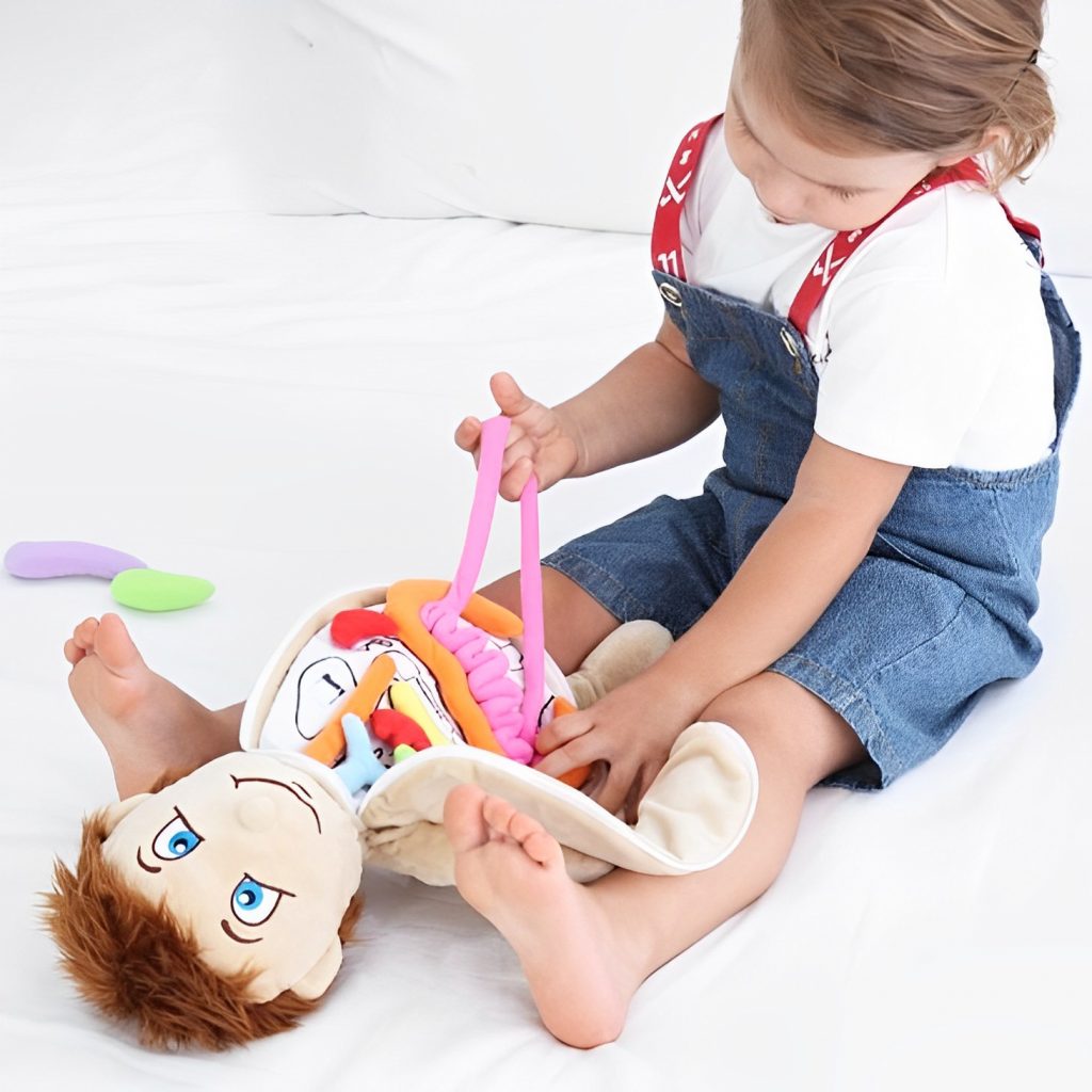 Plush Anatomy Doll with Removable Organs USAMERICA SHOP