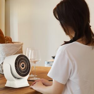 desk heater with hand warmer