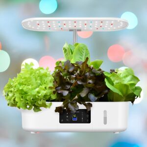 Hydroponic Indoor Planter