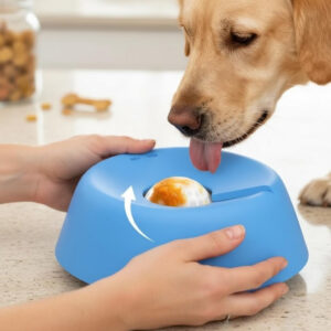 Anti-Bloat Dog Lick Slow Feeder – Vet Recommended Non-Slip Bowl for Liquid Treats